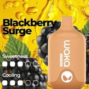 WAKA SMASH BLACKBERRY SURGE 6000 PUFFS