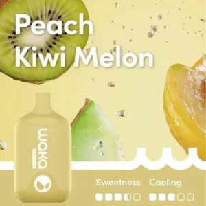 waka-smash-peach-kiwi-melon-6000-puffs